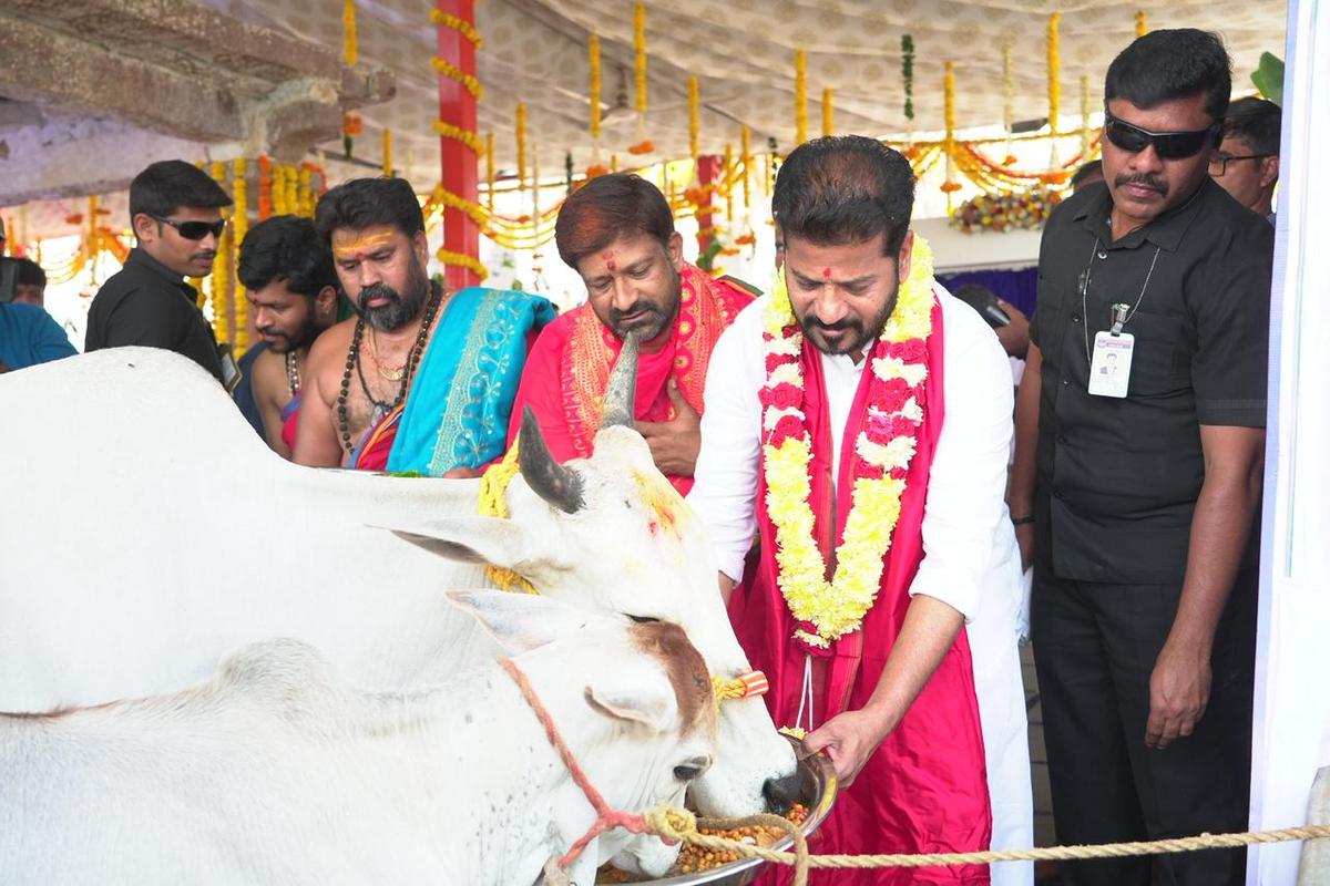 Chief Minister A. Revanth Reddy offers food to a cow after laying the foundation stone for the reconstruction of the historic Machileshwara Swamy and Omkareshwara Swamy temples on the banks of the Musi River at Manchirevula on the city outskirts on March28, 2026.