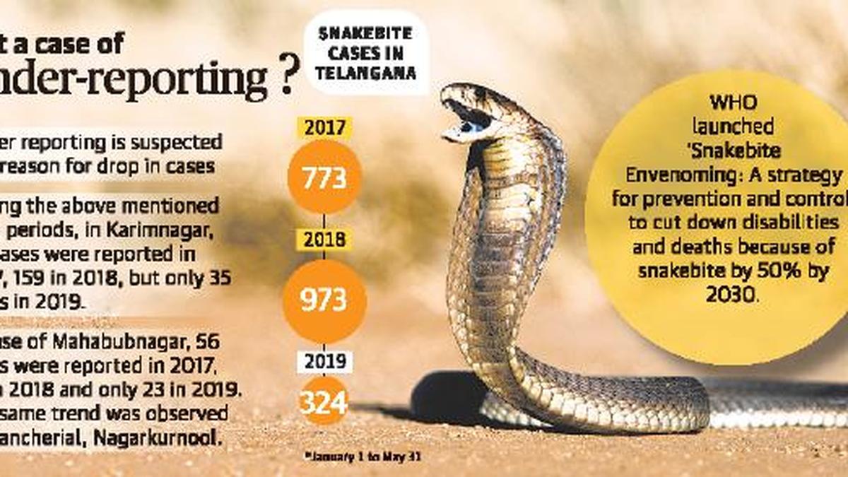 Snakebite cases in Telangana down by 50 The Hindu