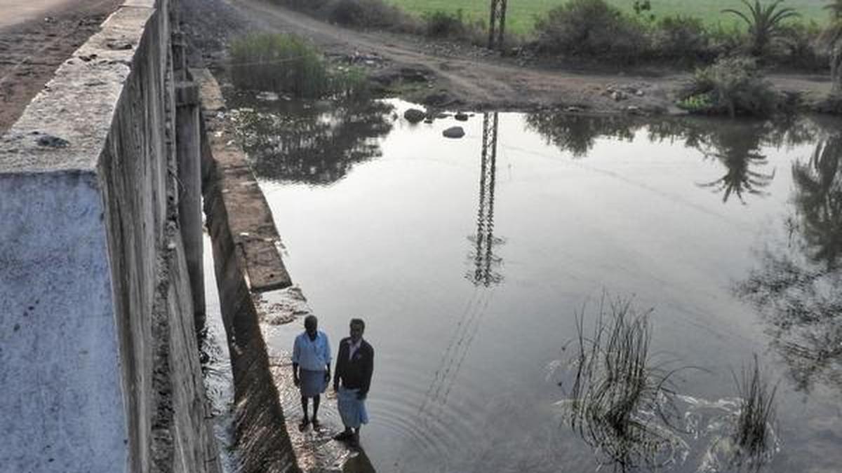 Adilabad farmers reap benefits of improved water management The Hindu