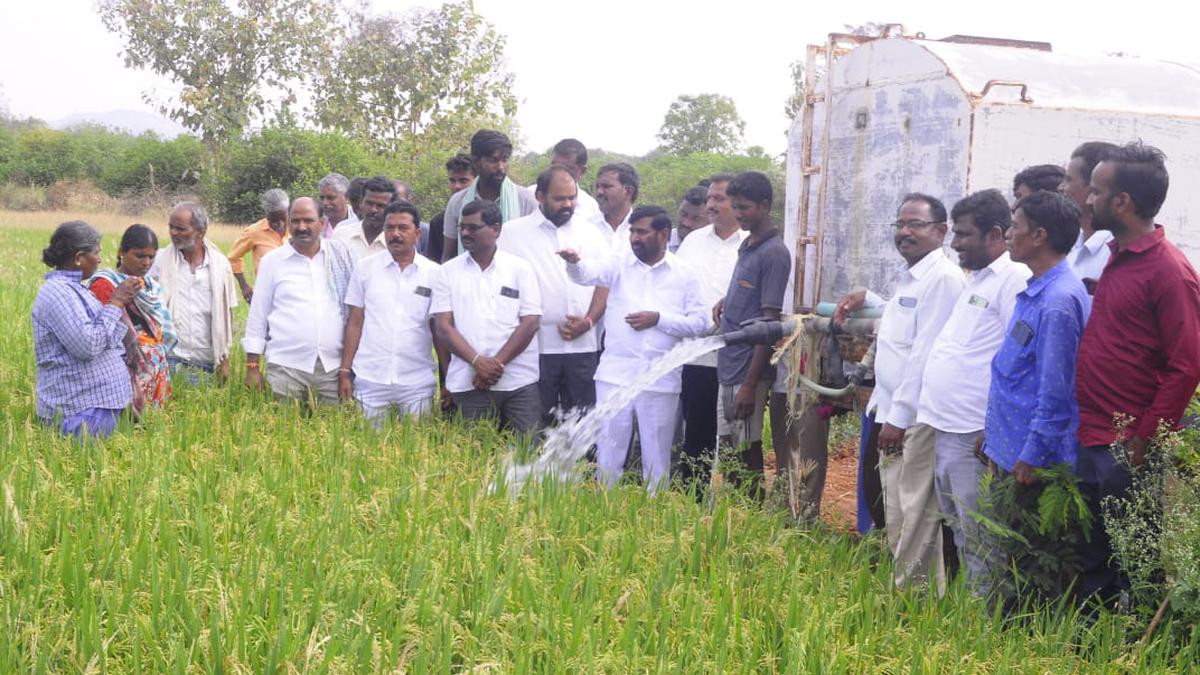 BRS leaders visit farmers distressed over withering crops