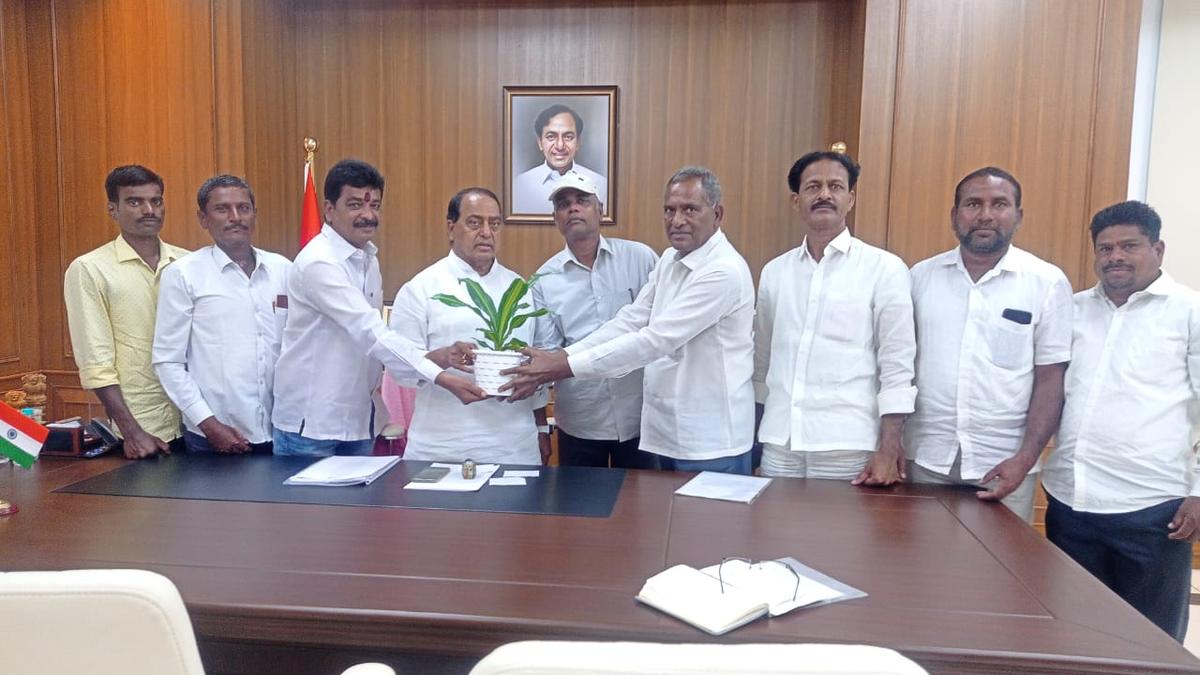 Unable to sell genuinely raised Redsanders trees, cultivators grope in the dark