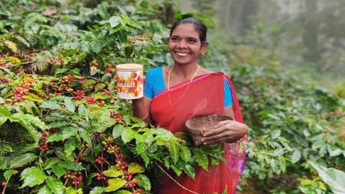 Food Vision 2050 prize for Naandi Foundation's Arakunomics The Hindu