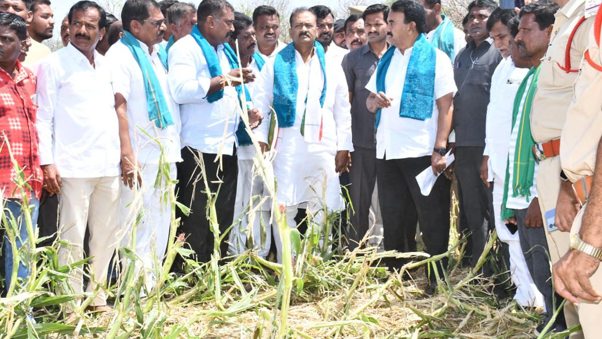 HYDERABAD: Minister assures ₹10,000 per acre aid for rain-hit farmers