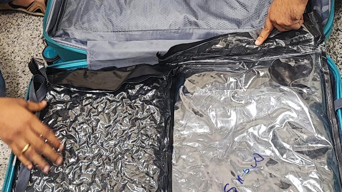 Customs seizes hydroponic marijuana worth ₹3.52 crore at RGIA, man held