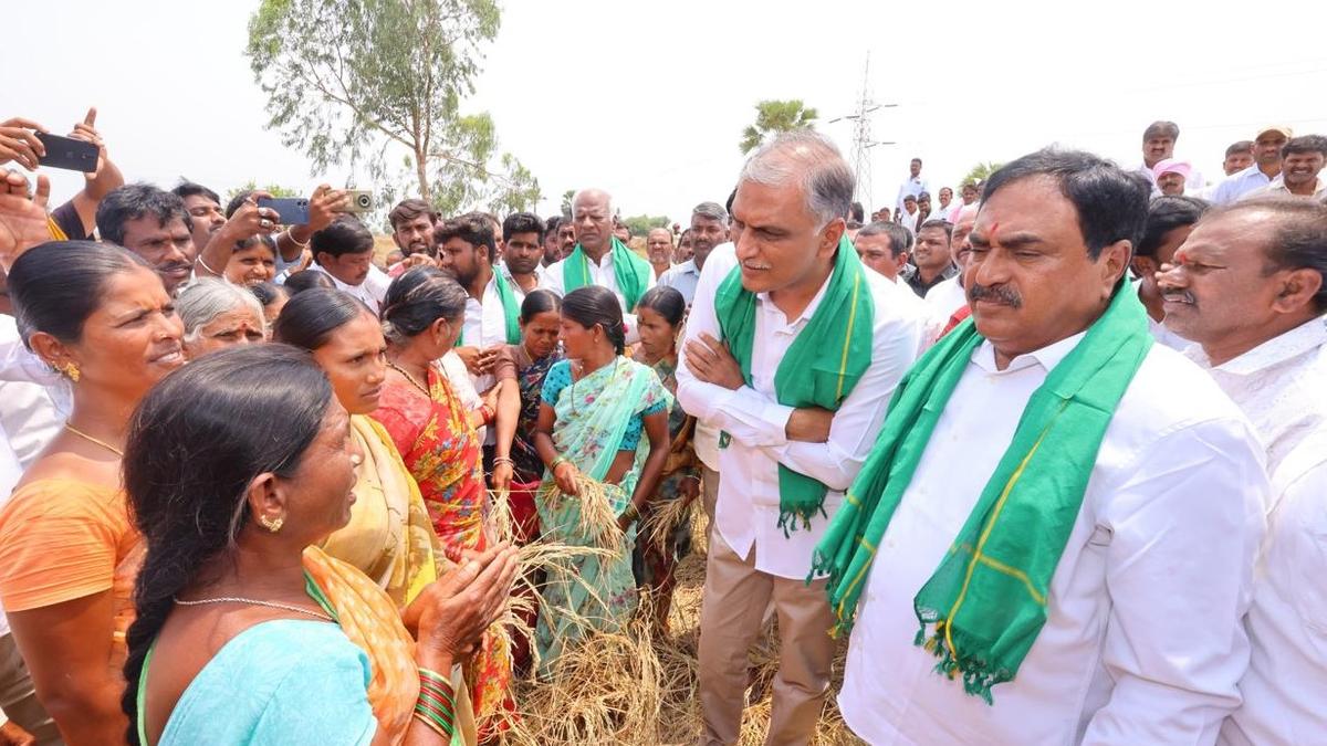 BRS demands ₹25,000 per acre relief to ryots who suffered crop loss this season BRS demands ₹25,000 per acre relief to ryots who suffered crop loss this season