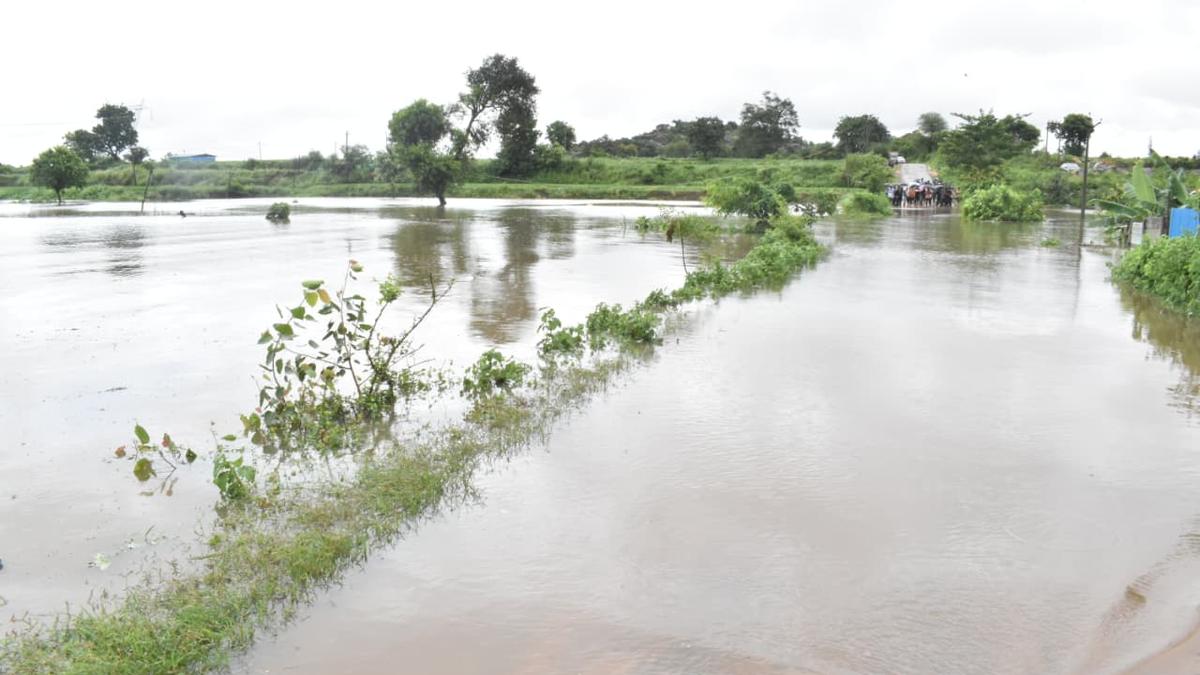 Rain fury leaves 12,413 acres of farm land under sand, breached tanks and damaged roads in Nizamabad