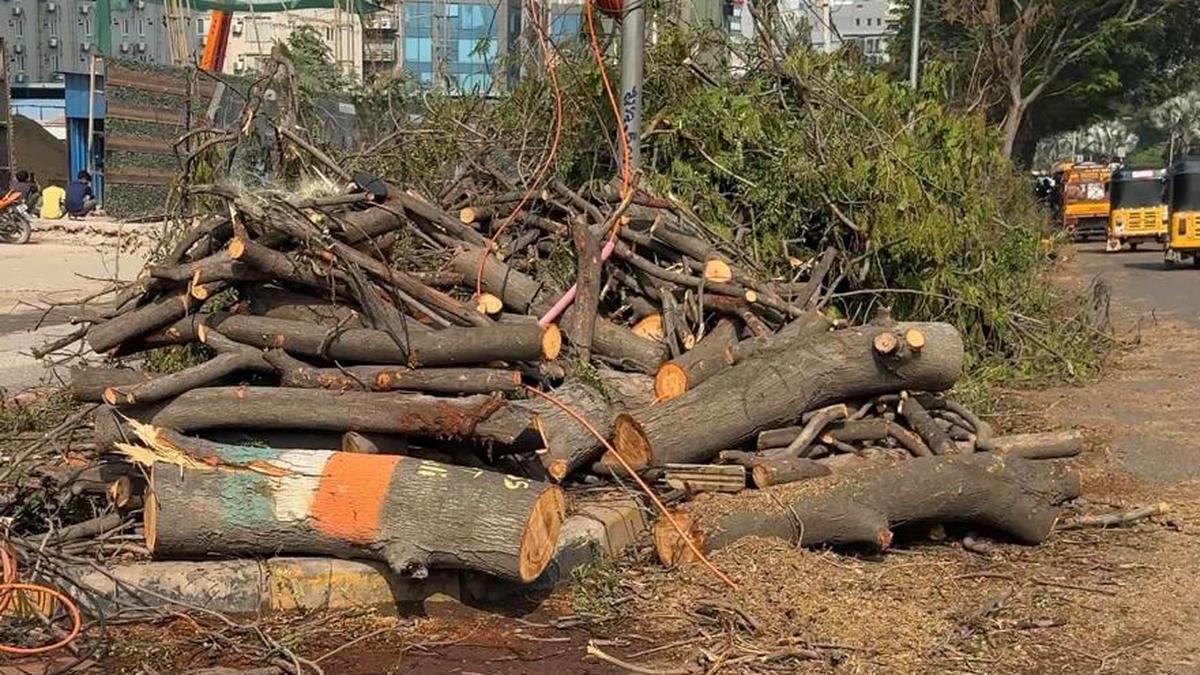 Hundreds of trees being felled in Manikonda to make way for road project