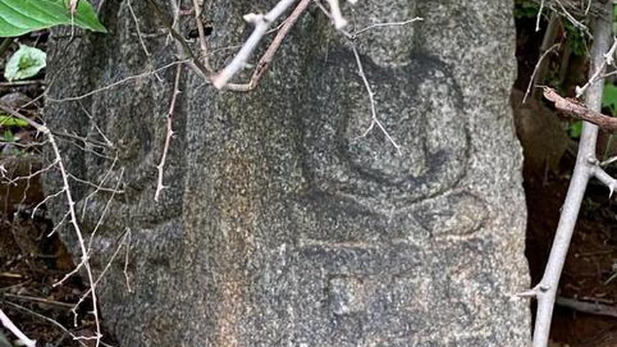 History buffs discover two figures from Jain pantheon The Hindu