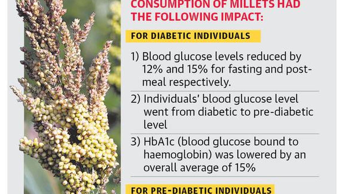 Millets turn panacea for diabetics The Hindu
