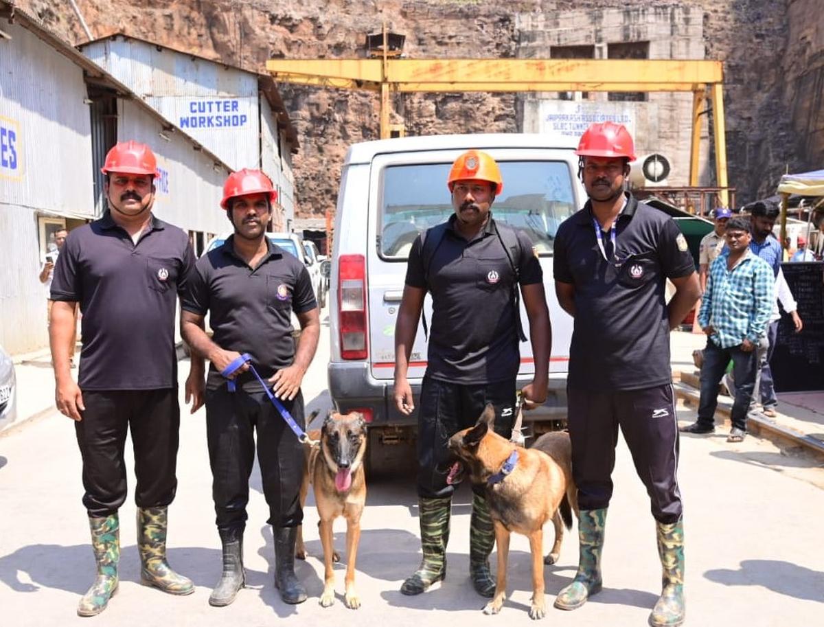 The cadaver sniffer dog squad from Kerala before entering the SLBC tunnel to search for remains of trapped persons on Sunday morning at Domalapenta in Nagarkurnool district.