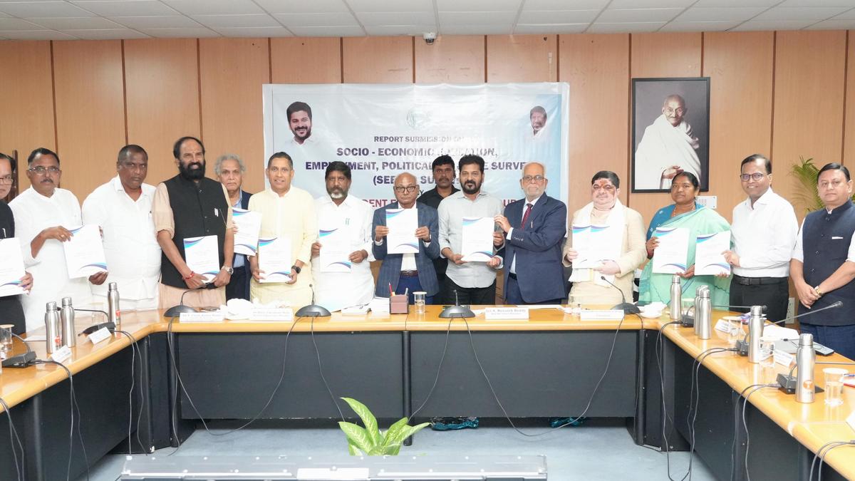 Expert group on caste survey presents its report