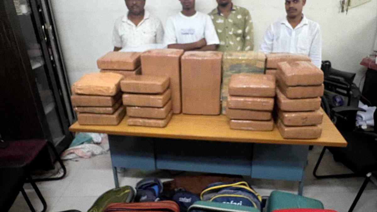 Gang from Odisha caught smuggling 91 kg of marijuana