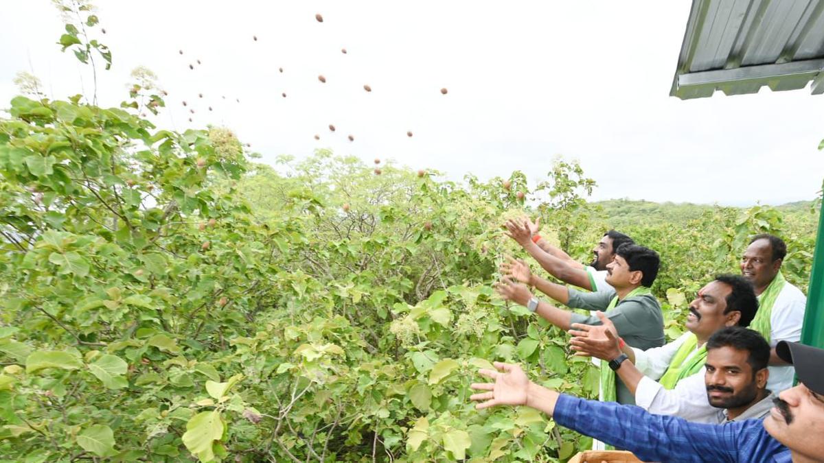 Green India Challenge: mega green drive taken up at Kondagattu forest area