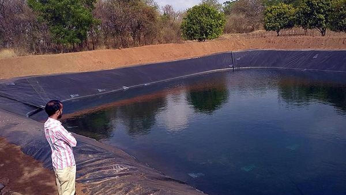 Farm ponds in Siddipet to give new life to farmers The Hindu