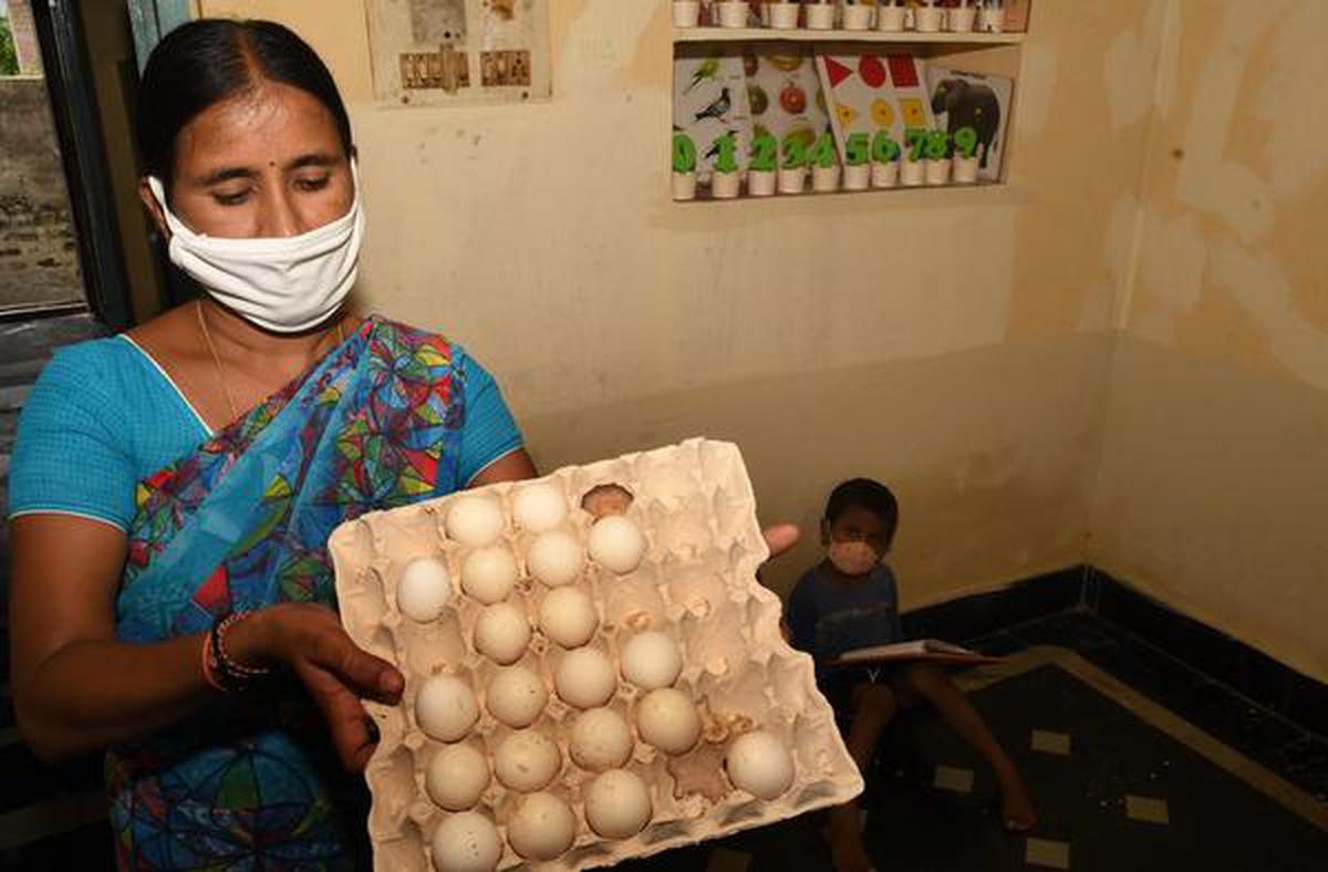 Govt orders probe after pregnant women, children get rotten eggs from  anganwadi centres in Karnataka