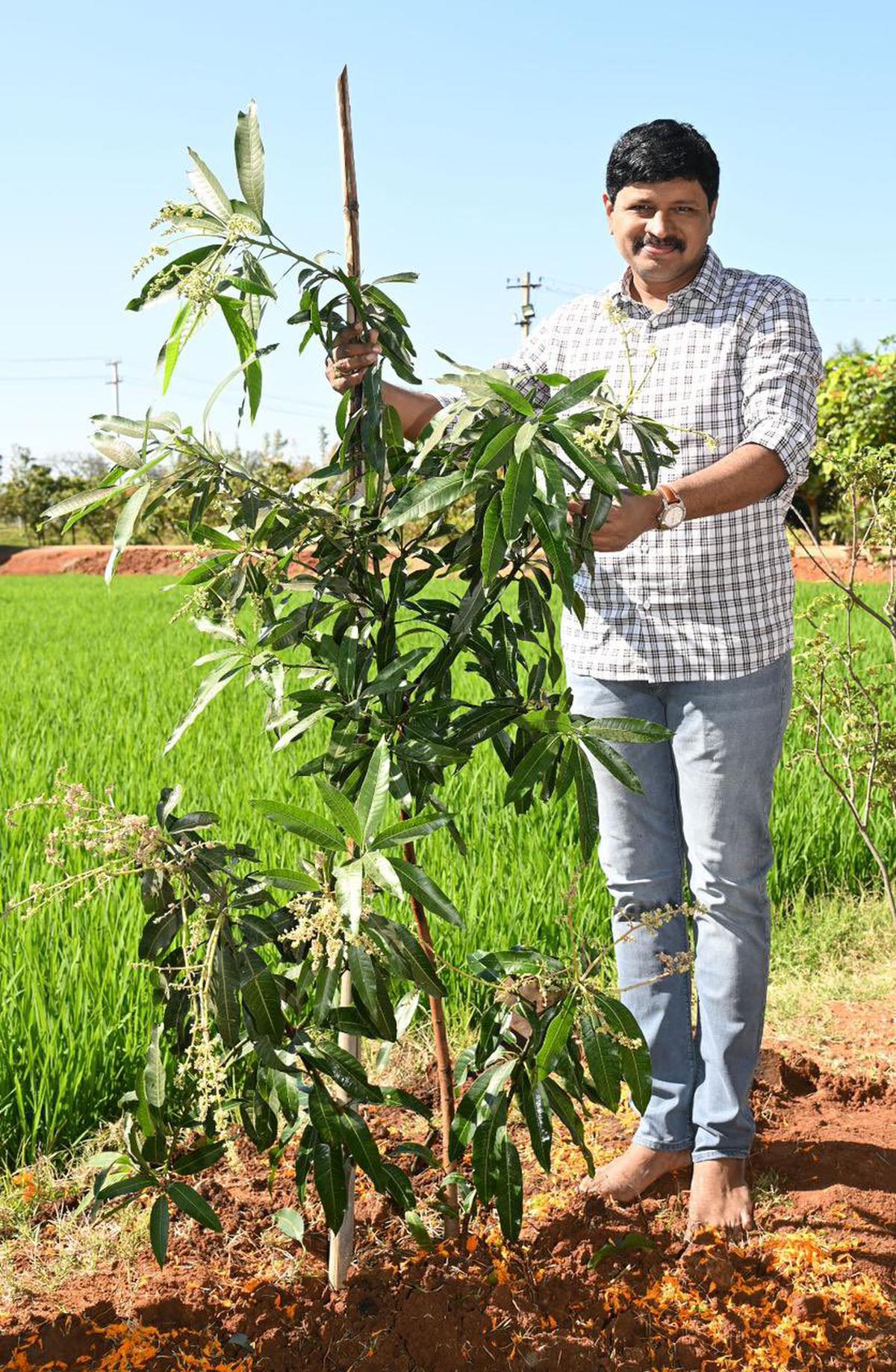 Green India Challenge Founder and Rajya Sabha Member J. Santosh Kumar plants a sapling and urged people to plant saplings to celebrate former CM K. Chandrasekhar Rao’s birthday on February 17, 2024 