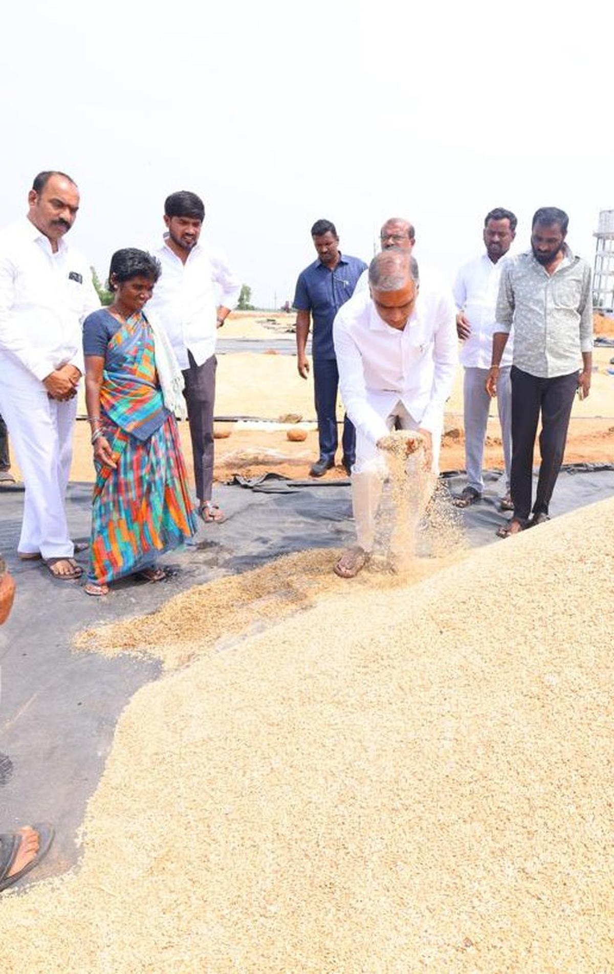 BRS leader examining party-soaked paddy at Mettu Bandala village in Siddipet district on Monday.
