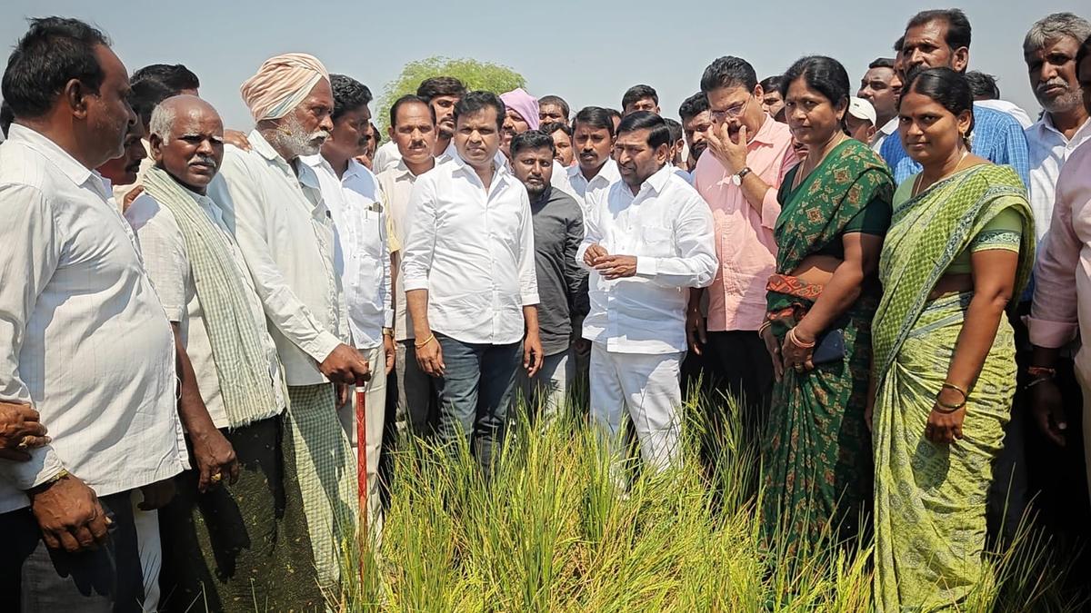 BRS leaders blame Congress Govt. for withering paddy in Tungaturthy