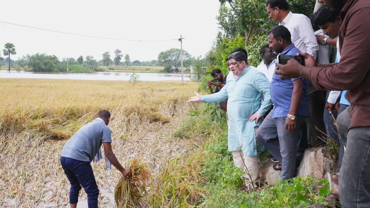Cyclone Montha | Ministers Ponnam, Tummala assure relief to farmers who suffered crop loss