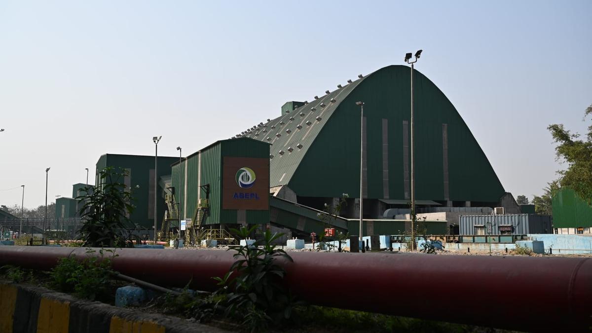 Assam’s tea gardens make room for bamboo to fuel bioethanol plant