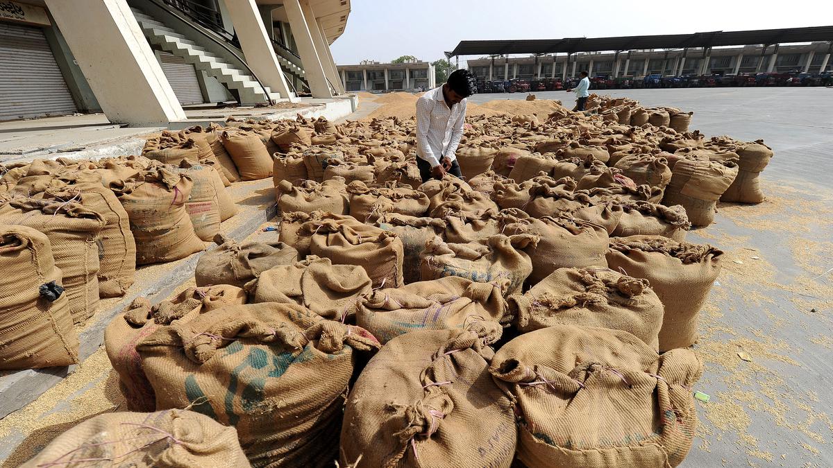 G-7 likely to increase pressure on India to reverse wheat export ban