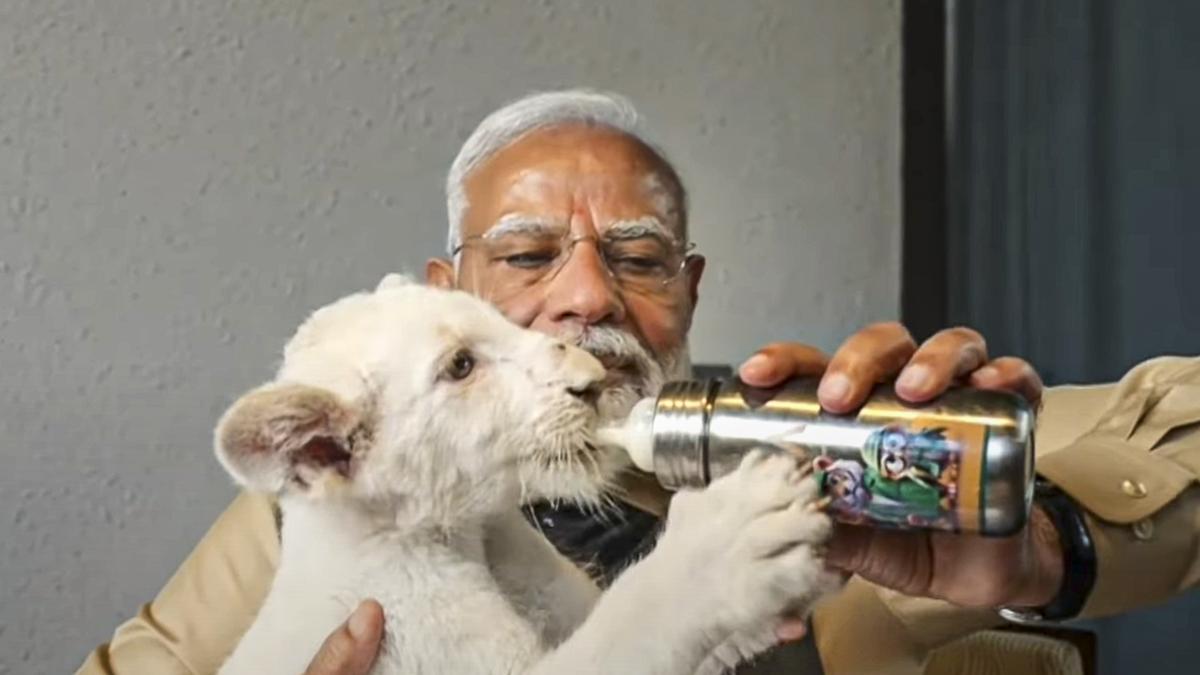 PM Modi inaugurates Vantara in Jamnagar, feeds lion cubs, giraffes