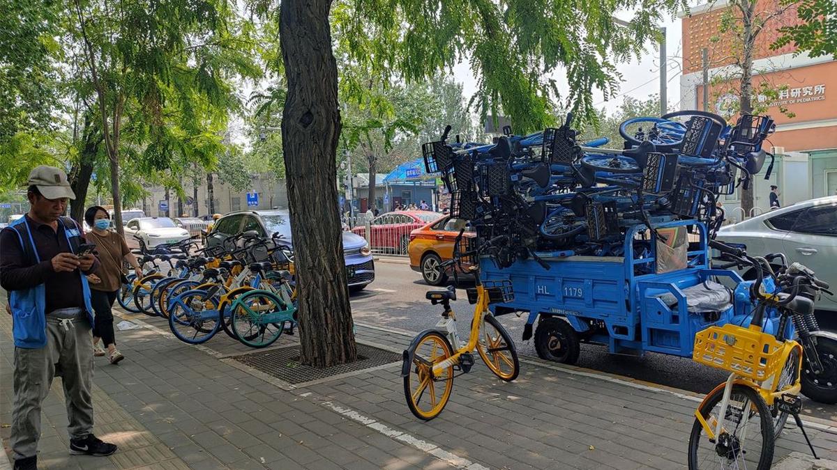Bicycle-sharing, infrastructure make cycling a popular choice in China