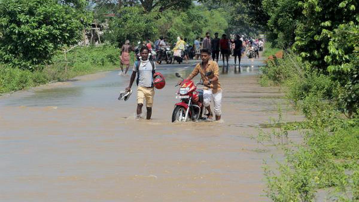 14 lakh affected, 17 killed in Odisha floods