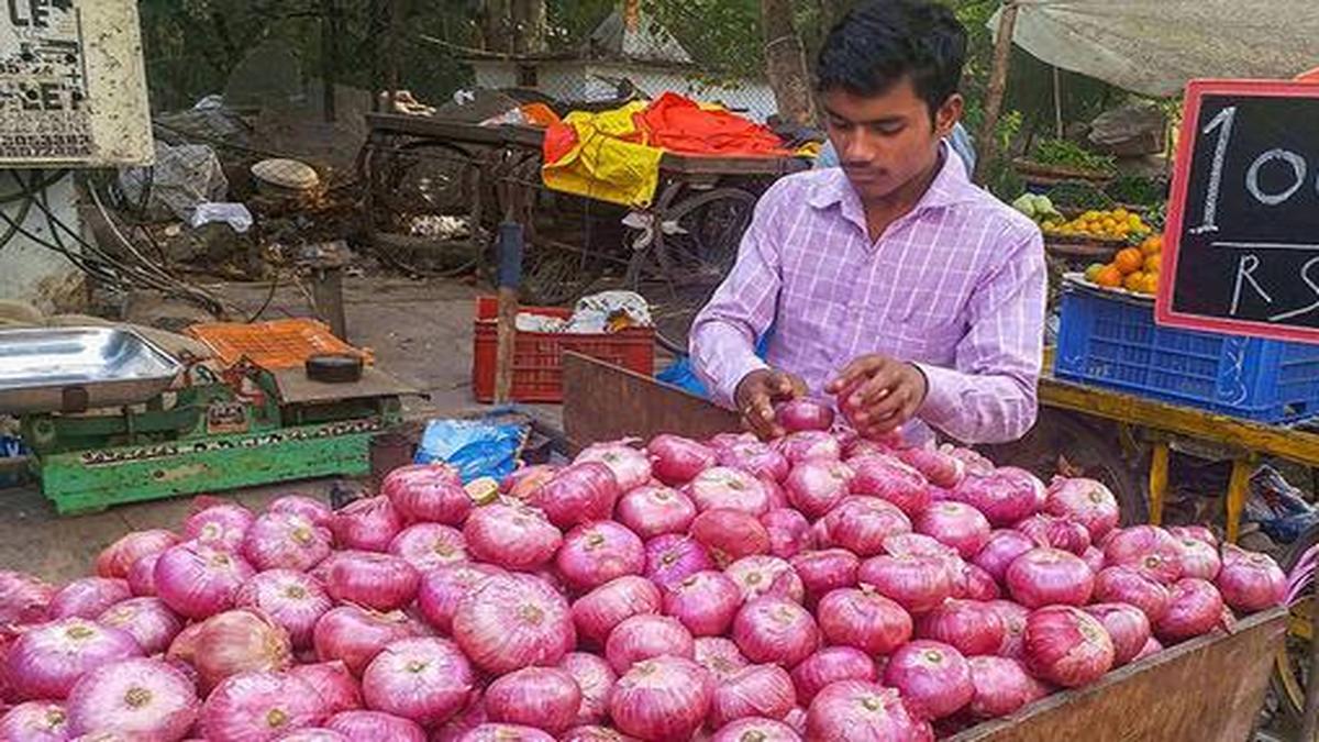 Onions from Egypt to arrive in Mumbai in December The Hindu
