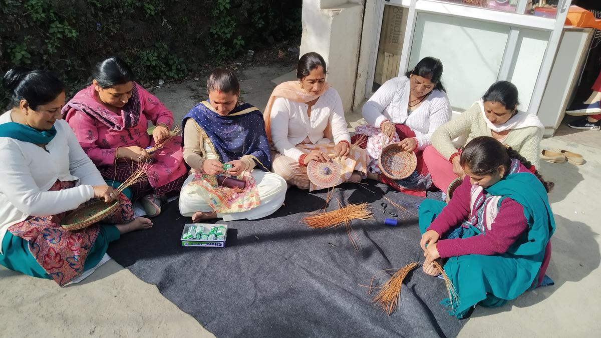 Women in Himachal Pradesh turn create livelihoods with pine needles