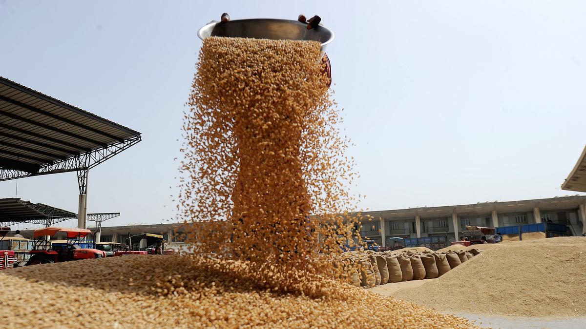 India to send 20,000 MT of wheat to Afghanistan via Chabahar