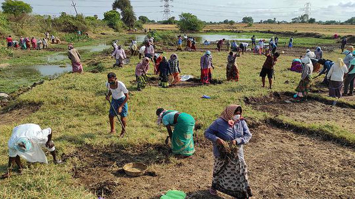 Activists seek 50 more days of work under MGNREGA