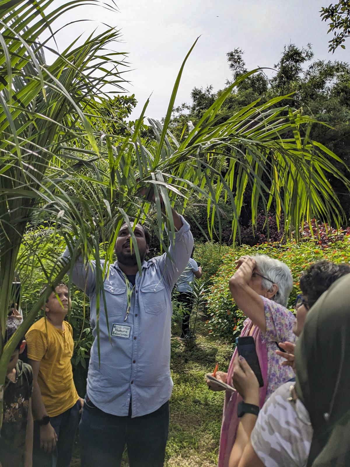 A group looks on as Sachine Rane, of the NGO Naturalist, examines a palm tree for caterpillars and pupae, at the Maharashtra Nature Park, Mumbai, on September 10, 2023