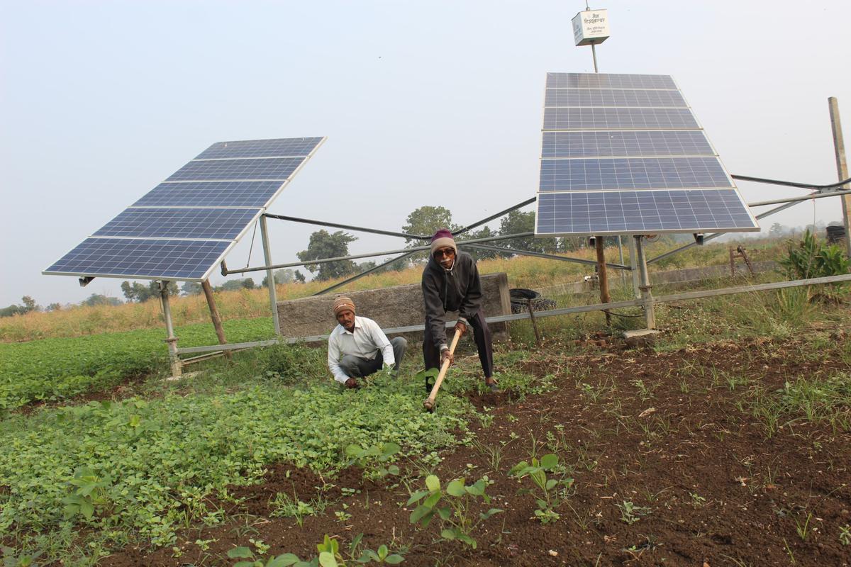 Vikas Bhurke و Sandip Khuje کشاورزی ارگانیک را ترویج می کنند