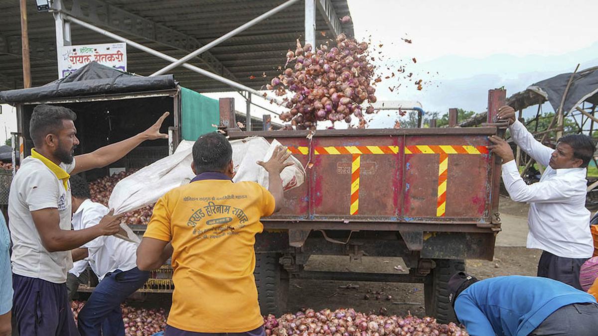 Centre bans onion export till March 2024; farmers protest in Nashik