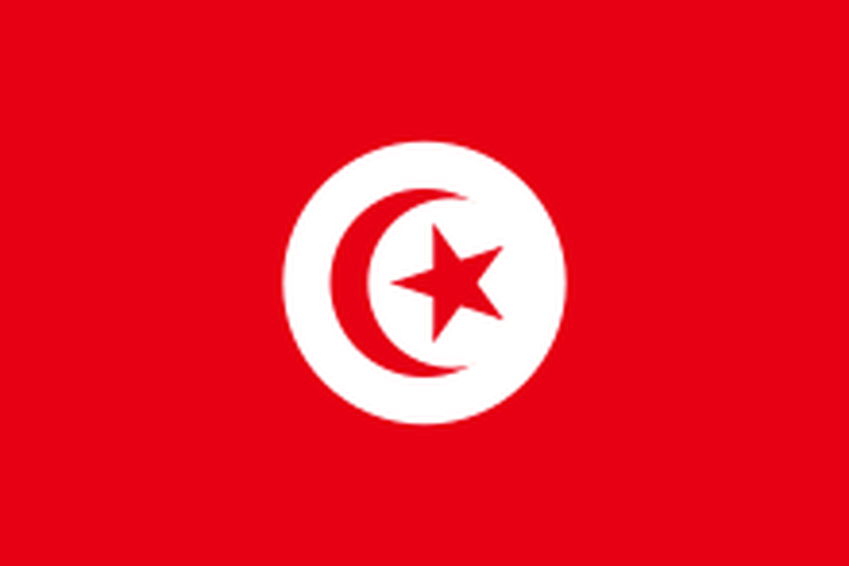 FIFA World Cup 2022 | Full Tunisia squad and schedule