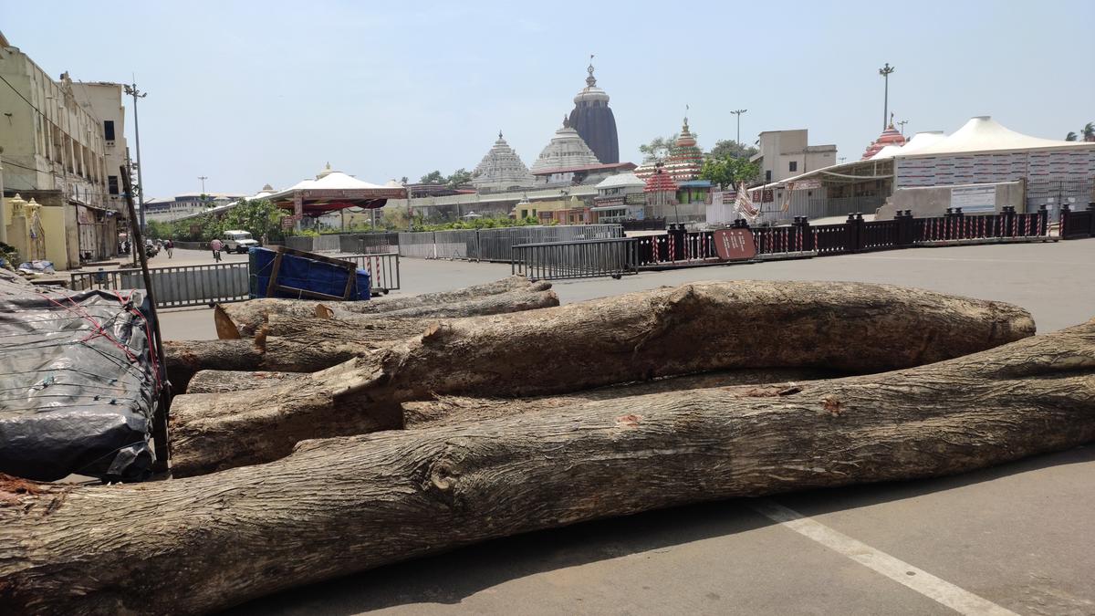 Decision on Puri Rath Yatra after May 3