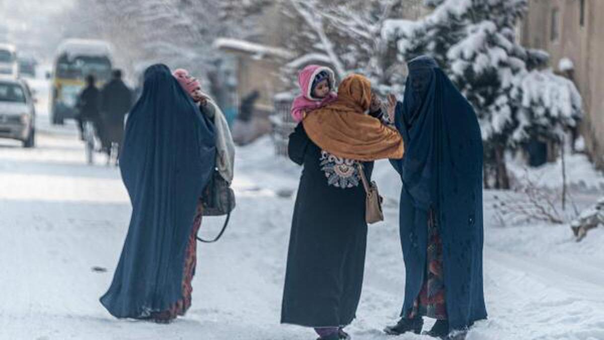 Death toll in Afghanistan cold snap rises to 166, official says