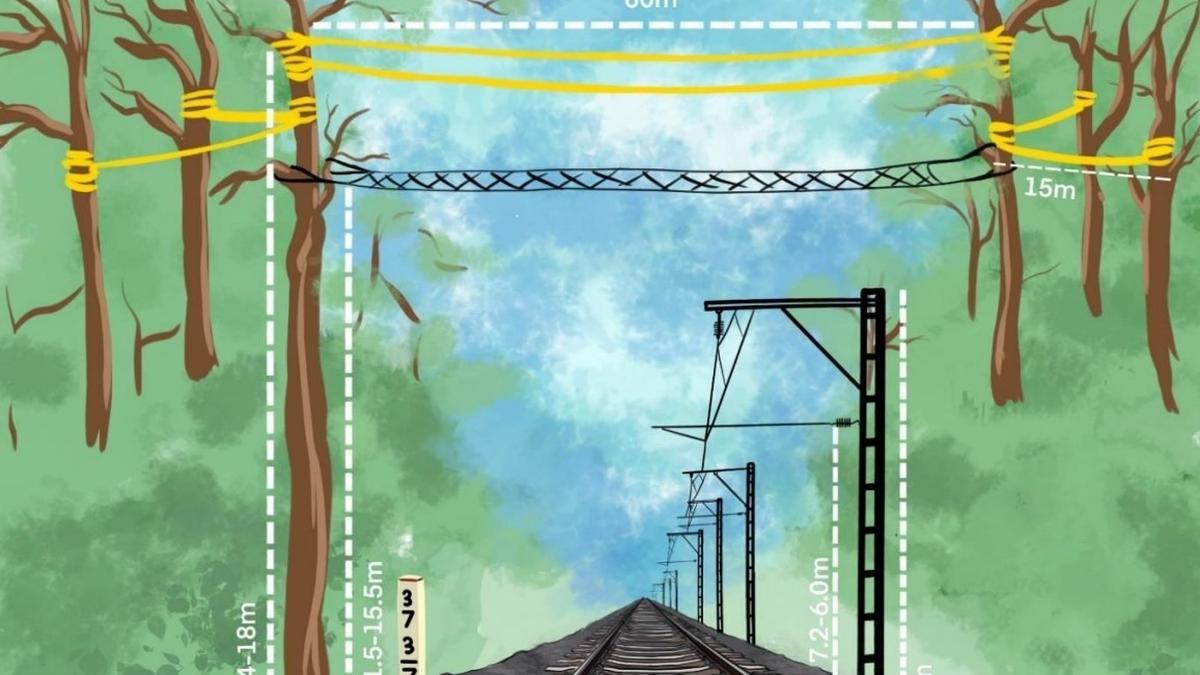 Railways to build canopy bridges across track in Assam ...
