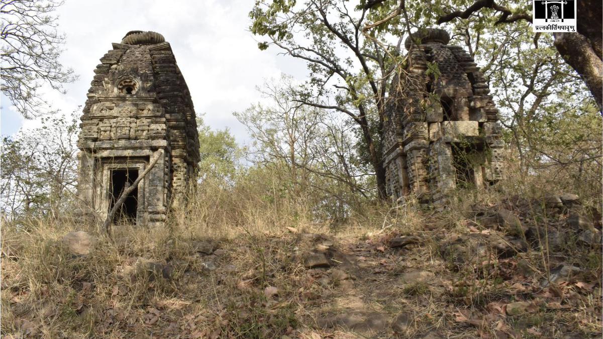 ASI finds Buddhist caves, temples in Madhya Pradesh’s Bandhavgarh Tiger Reserve