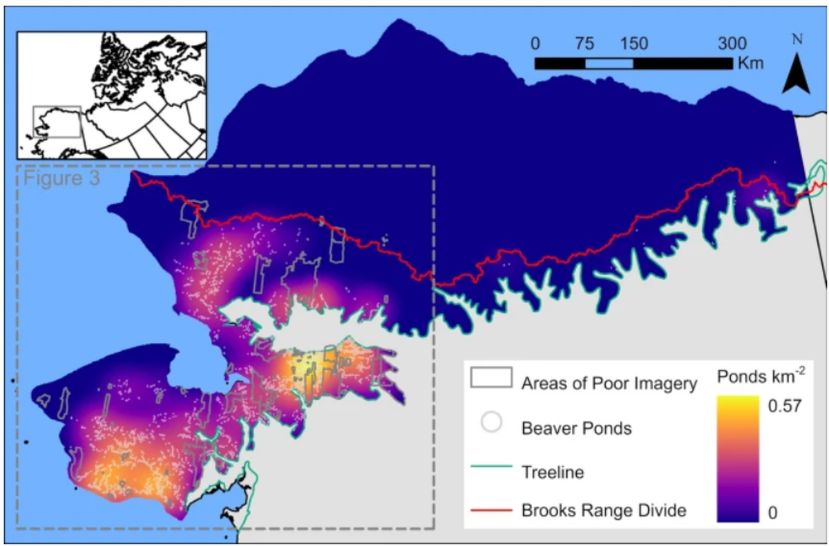 Distribution of 11,377 beaver ponds in the Alaska Arctic.