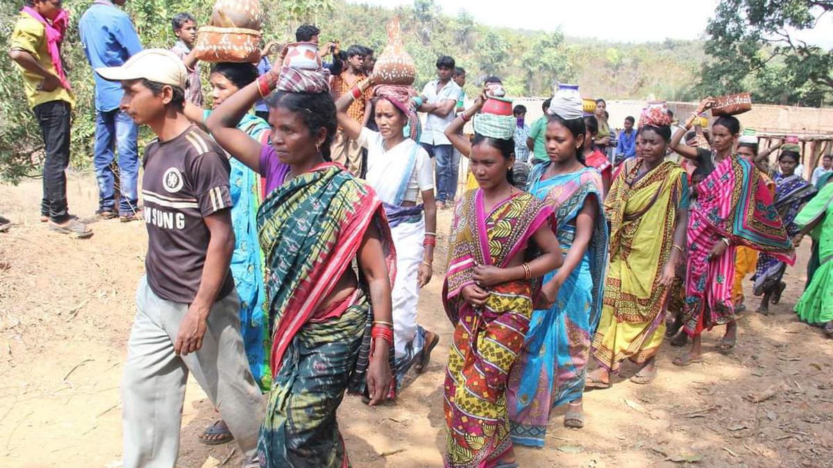 Millets in the mainstream | How Odisha’s Kutia Kondh tribe rediscovered a palate for the ‘poor man’s food’