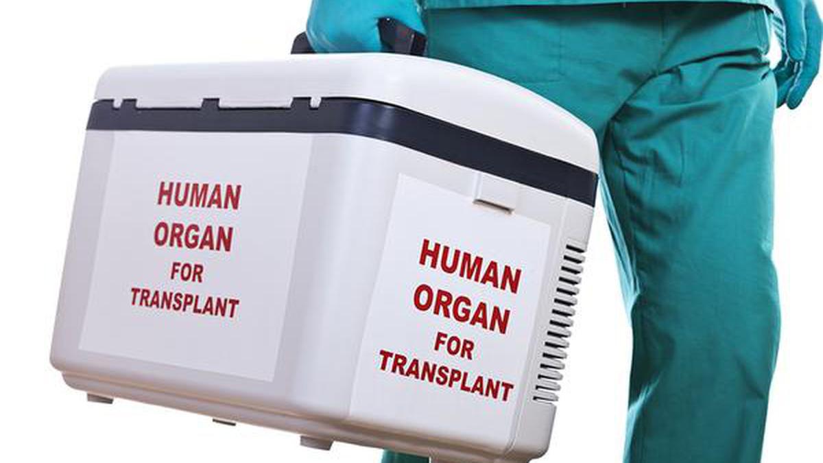 Tous les cas de transplantations d’organes, qu’ils proviennent d’un donneur vivant ou décédé, doivent recevoir un NOTTO-ID unique