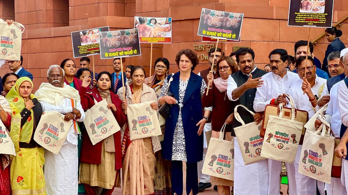 Congress MPs express solidarity with Bangladesh's minorities with message on handbags