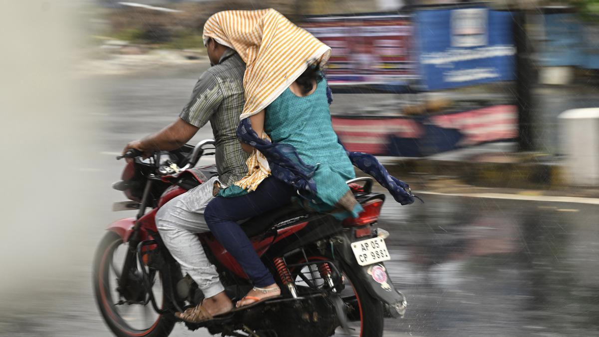 India to receive above-normal monsoon rains: IMD