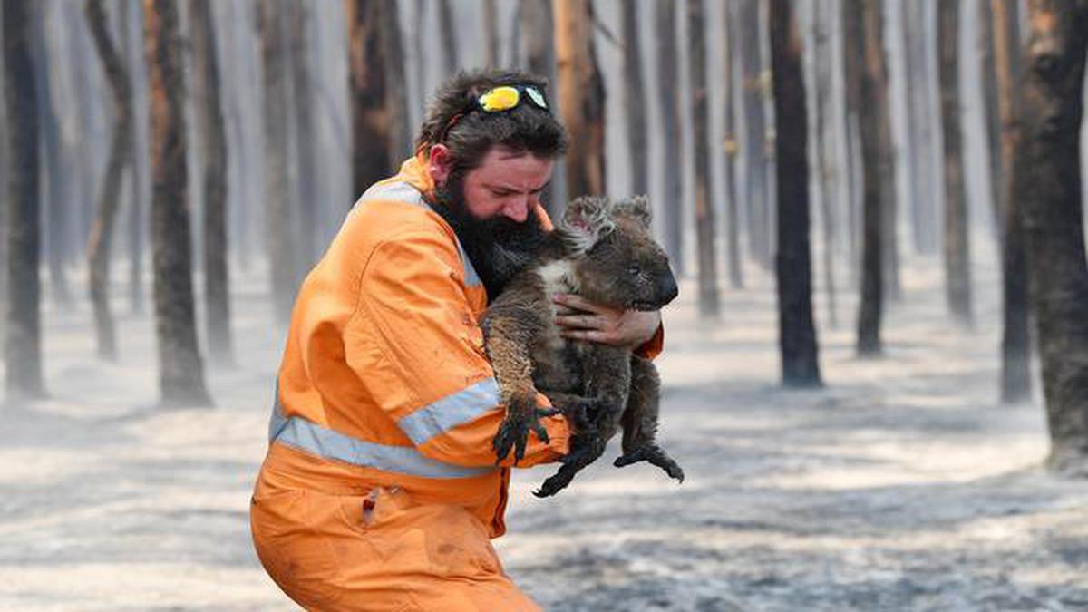 Data | What made the Australian bushfires so severe this season?