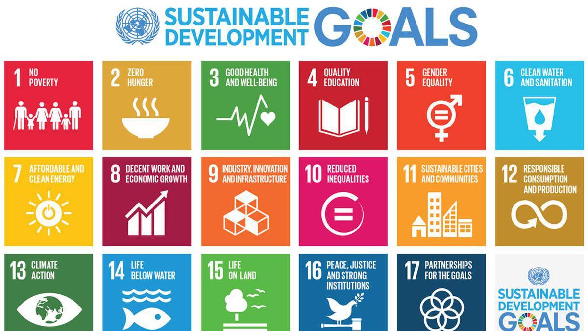 India likely to miss deadline for 50% of SDG indicators: Lancet study