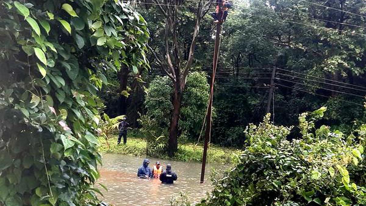 Maharashtra rains | 5,561 relocated in Kolhapur; some relief as showers ...