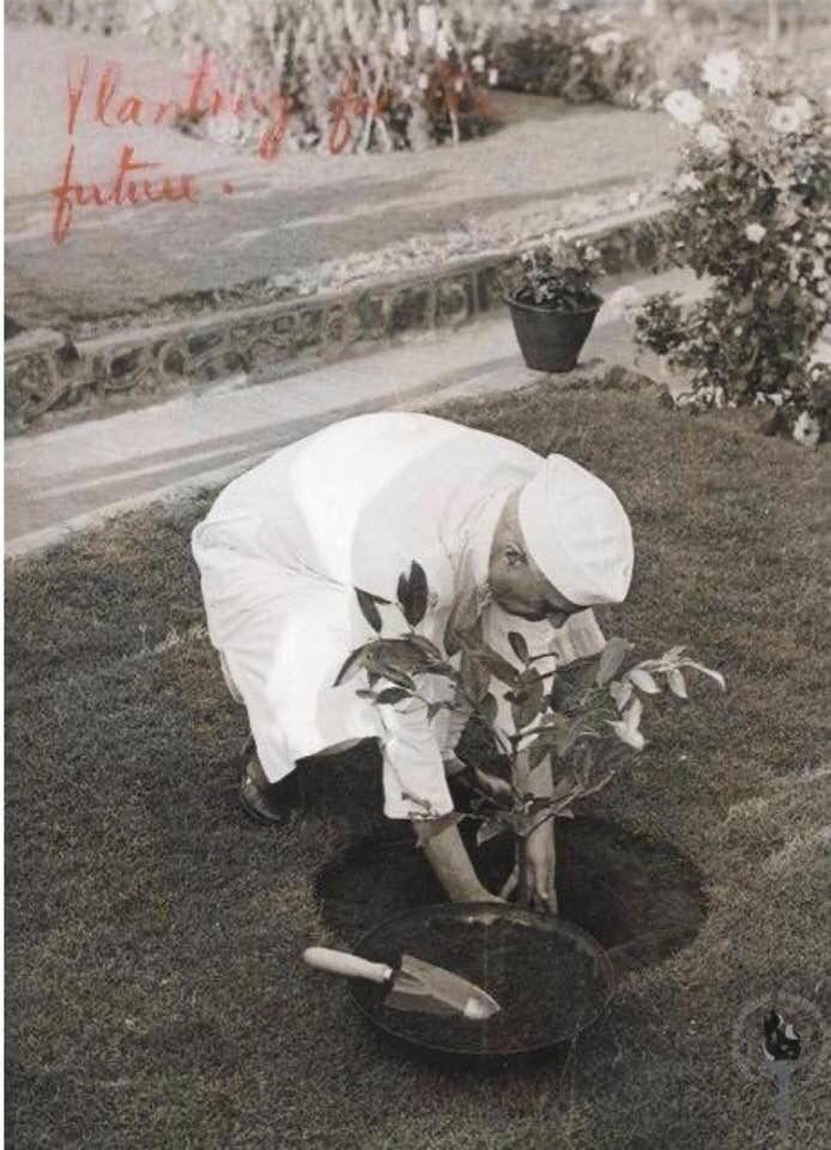 A photograph of former PM Jawaharlal Nehru planting a sapling in the Aarey forest in 1951.