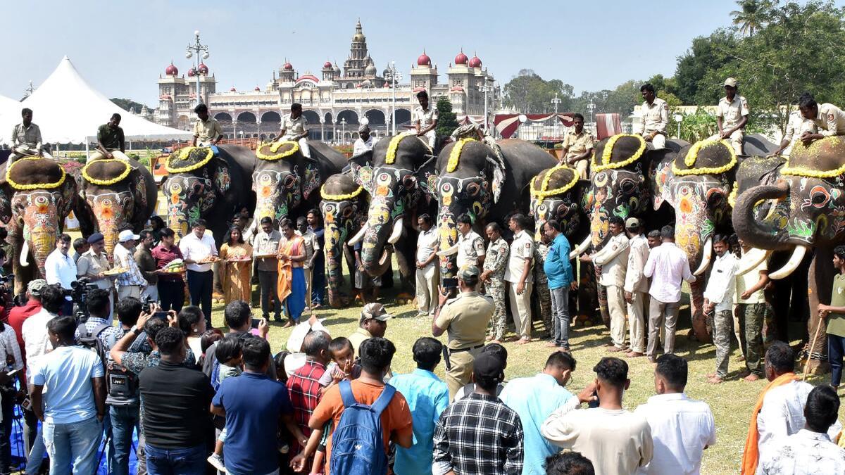 Dasara elephants bid adieu to Mysuru, head back to jungle camps